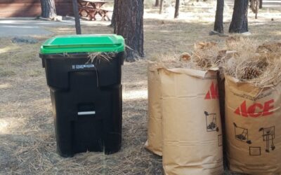 Yard Waste Collection – Winter Updates