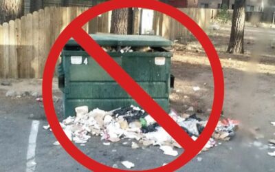 Commercial Newsletter – Winter 2026